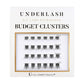 BUDGET CLUSTERS